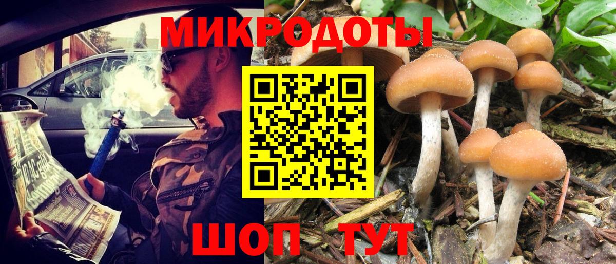 Псилоцибиновые грибы Magic Shrooms Сухой Лог