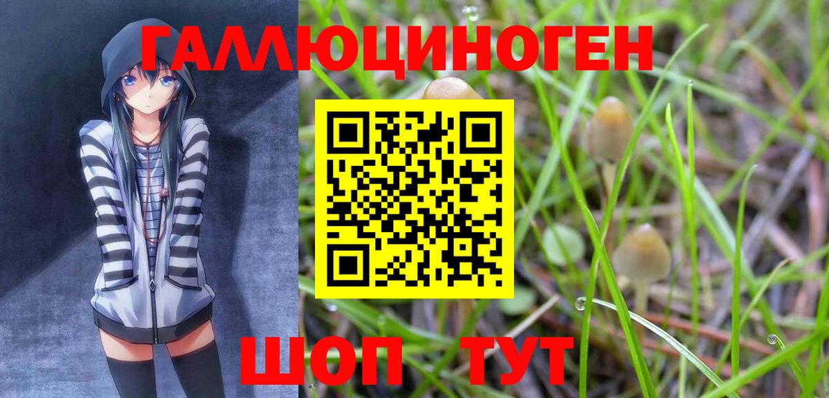 Сухой Лог  где купить наркотик  Галлюциногенные грибы Magic Shrooms  Вход с VPN  Галлюциногенные грибы Psilocybe 